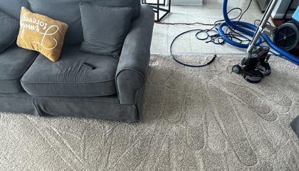 Carpets in Pet-Friendly Home